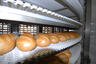 Конвейеры для хлебопекарной промышленности